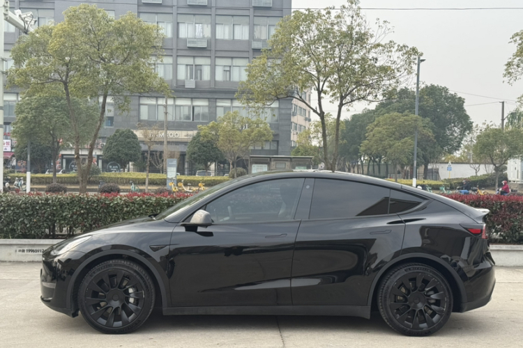 特斯拉 Model Y 2021款 标准续航后驱版车身外观6003