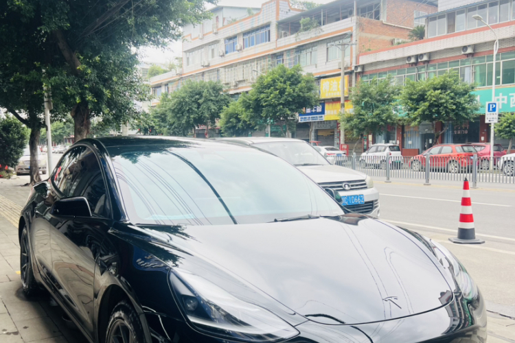 特斯拉 Model 3 2021款 标准续航后驱升级版 3D6车身外观6003