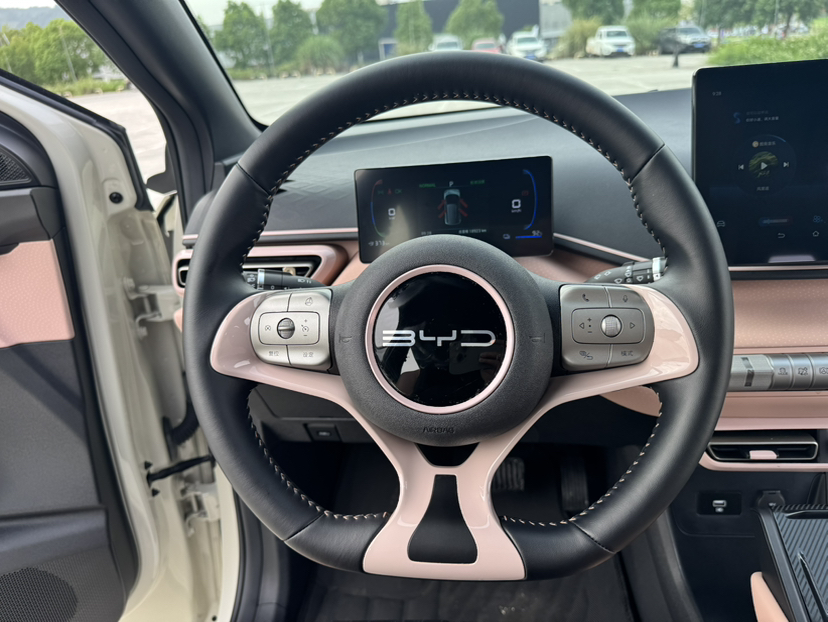 比亚迪 海鸥 2023款 飞翔版