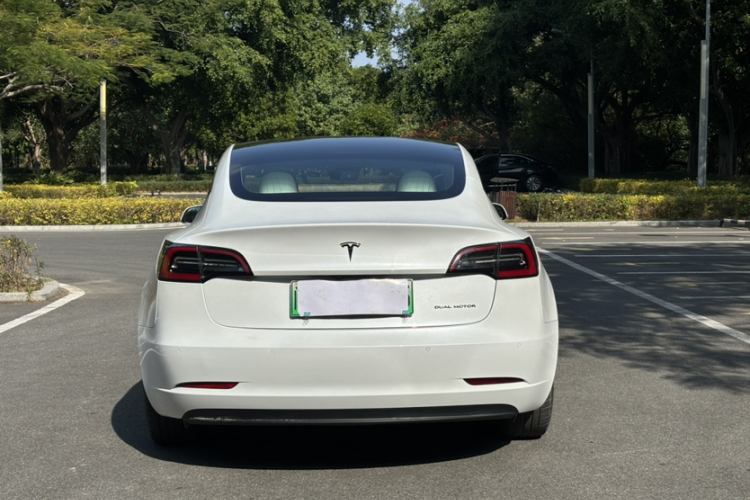 特斯拉 Model 3(进口) 2019款 长续航全轮驱动版车身外观6001