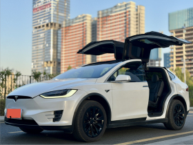 特斯拉 Model X 2019款 长续航版