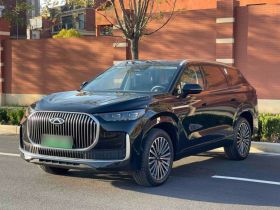 奇瑞 瑞虎9 C-DM 2025款 1.5T 106KM超享版 7座 磷酸铁锂