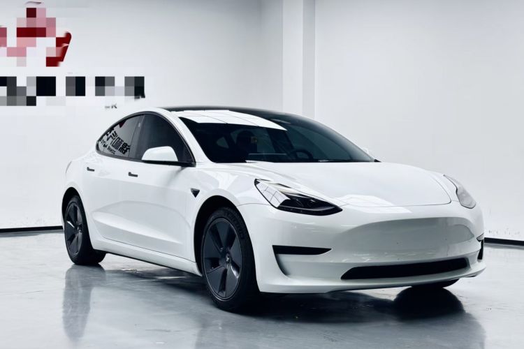 特斯拉 Model 3 2021款 标准续航后驱升级版车身外观6008