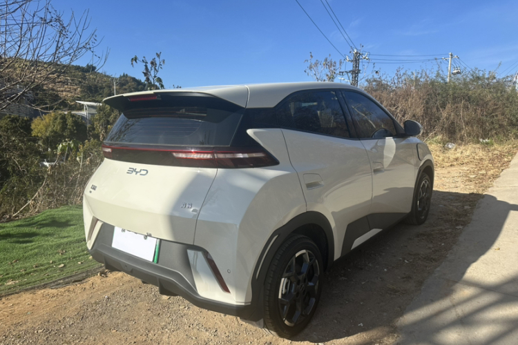 比亚迪 海鸥 2025款 305km 自由版车身外观6006