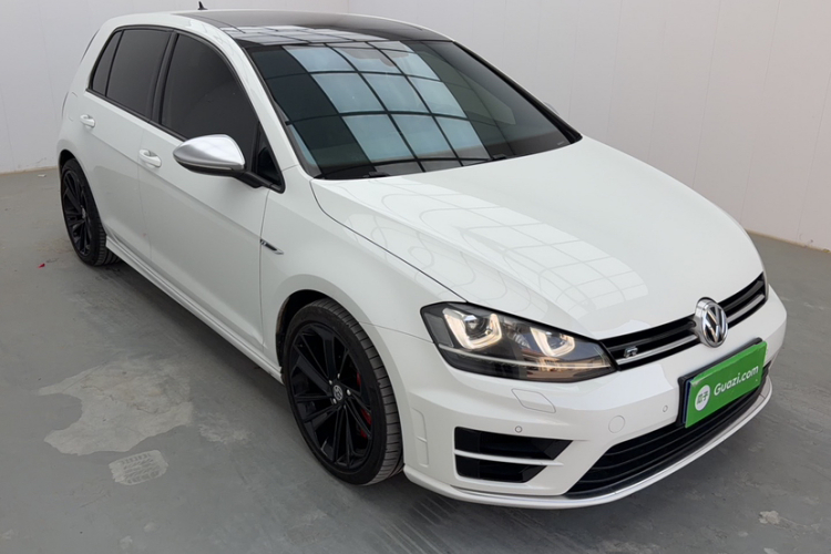 大众 高尔夫(进口) 2015款 2.0TSI R车身外观6004