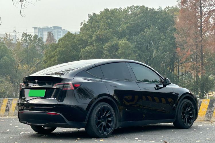 特斯拉 Model Y 2022款 后轮驱动版车身外观6007