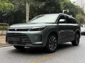 鸿蒙智行 问界M7 2022款 1.5T 后驱舒适版