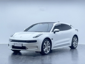 极氪001 2021款 超长续航双电机 YOU版