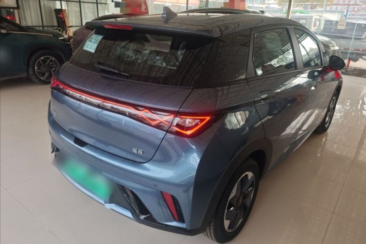 比亚迪 海豚 2025款 420km 自由版车身外观6005