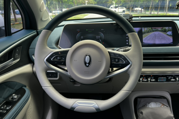 欧拉好猫 2021款 400km标准续航 维纳斯版 三元锂局部细节13