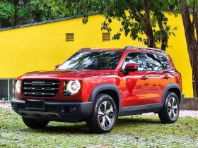 哈弗大狗 2022款 1.5T DCT两驱拉布拉多版