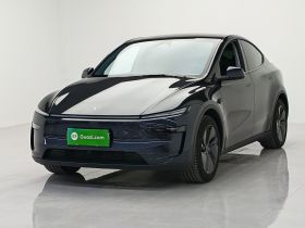 特斯拉 Model Y 2025款 长续航全轮驱动 首发版
