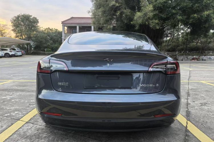 特斯拉 Model 3 2021款 标准续航后驱升级版车身外观6006