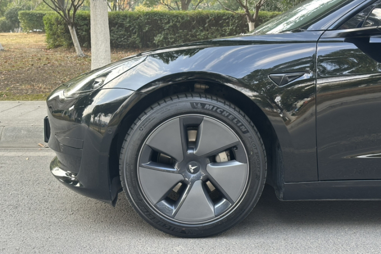 特斯拉 Model 3 2021款 标准续航后驱升级版车身外观6010