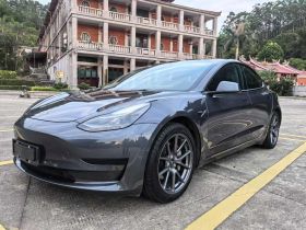 特斯拉 Model 3 2021款 标准续航后驱升级版