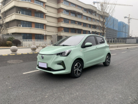 长安欧尚 奔奔E-Star 2022款 清心版 多彩款 磷酸铁锂