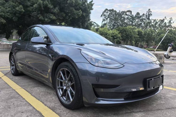 特斯拉 Model 3 2021款 标准续航后驱升级版车身外观6002