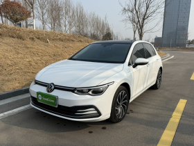 大众 高尔夫 2024款 280TSI DSG Pro 50年传奇版