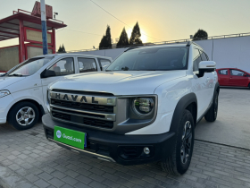 哈弗大狗 2024款 2.0T DCT中华田园犬版