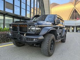 坦克300 2023款 2.0T 铁骑02