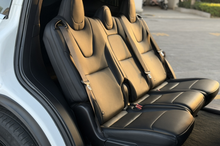 特斯拉 Model X 2019款 长续航版局部细节9007