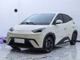 比亚迪 海鸥 2023款 自由版