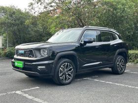 哈弗大狗 PLUS 新能源 2024款 Hi4 102km 潮电版Plus