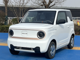 吉利银河 2023款 熊猫mini 200km 耐力熊