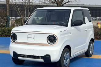吉利银河 2023款 熊猫mini 200km 耐力熊