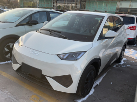 比亚迪 海鸥 2025款 305km 活力版