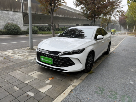 比亚迪 秦L 2024款 DM-i 80KM超越型