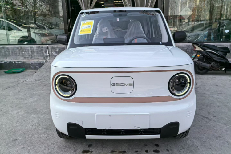 吉利银河 2024款 熊猫mini 200km 耐力熊车身外观6001