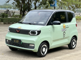 五菱汽车 宏光MINIEV 2021款 马卡龙臻享款 磷酸铁锂