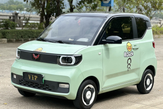 五菱汽车 宏光MINIEV 2021款 马卡龙臻享款 磷酸铁锂
