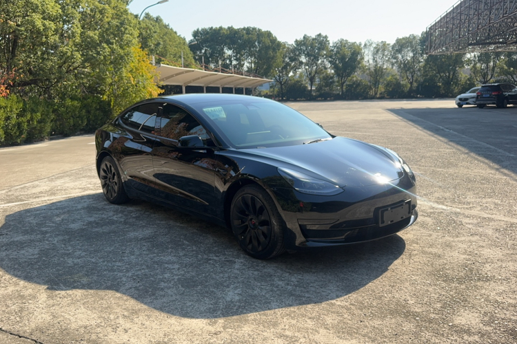 特斯拉 Model 3 2021款 标准续航后驱升级版 3D6车身外观6002