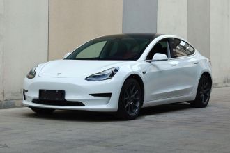 特斯拉 Model 3 2020款 改款 标准续航后驱升级版