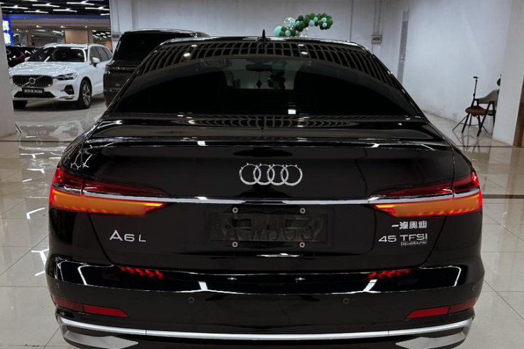 奥迪A6L 2023款 45 TFSI quattro 臻选动感型车身外观6002