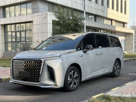 上汽大通MAXUS 大通G90 2022款 2.0T 星河七座版