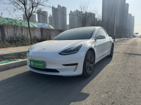 特斯拉 Model 3 2020款 标准续航后驱升级版