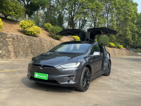 特斯拉 Model X 2020款 长续航升级版