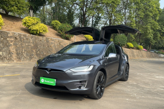 特斯拉 Model X 2020款 长续航升级版