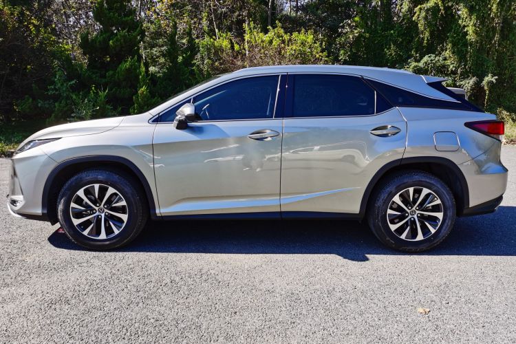 雷克萨斯RX 2020款 改款 300 两驱精英版车身外观6002