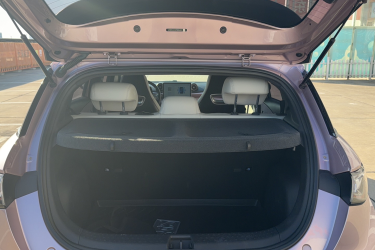 比亚迪 海豚 2021款 405km 时尚版局部细节23