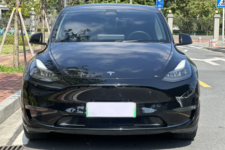 特斯拉 Model Y 2021款 标准续航后驱版车身外观6007
