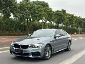 宝马5系(进口) 2019款 525i M运动套装