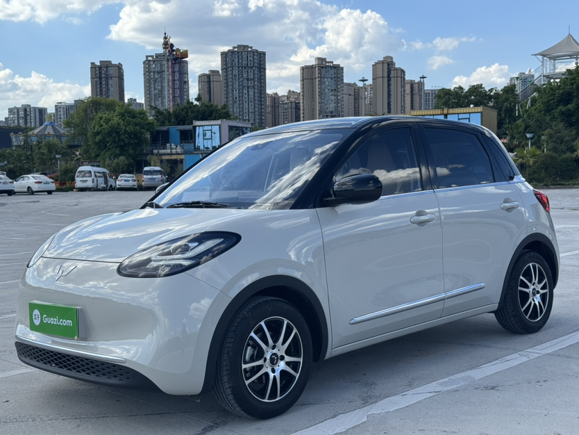 五菱汽车 五菱缤果 2023款 203km 舒享款