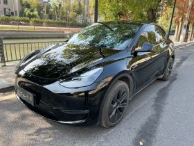 特斯拉 Model Y 2023款 长续航全轮驱动版