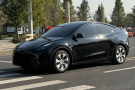 特斯拉 Model Y 2022款 后轮驱动版