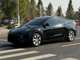 特斯拉 Model Y 2022款 后轮驱动版