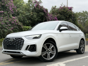 奥迪Q5L Sportback 2021款 40 TFSI 豪华型